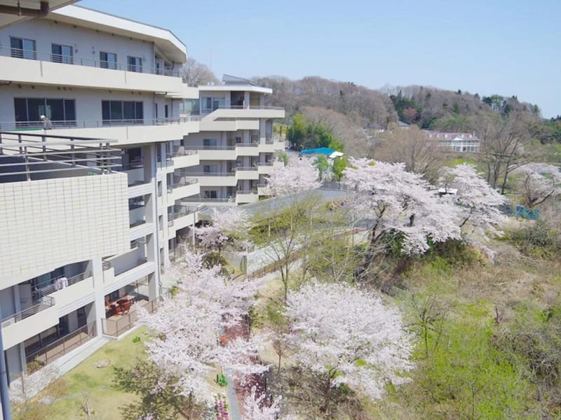 ほのぼの介護 - 訪問介護 in 仙台市, 宮城県 photo 3
