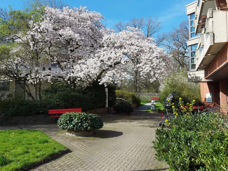Alten- und Pflegeheim St. Aegidien in Hannover, Niedersachsen photo 2