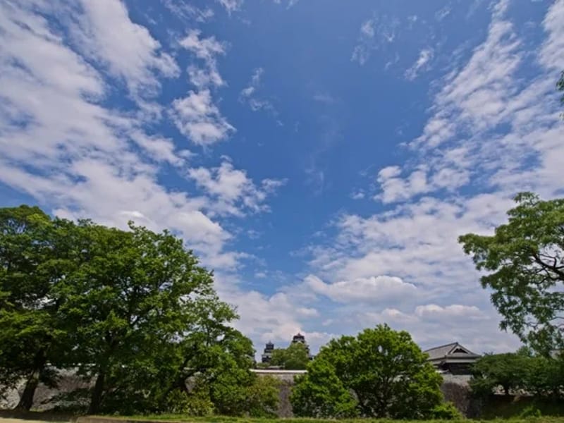 よかばい - デイサービス in 熊本市北区, 熊本県 photo 1
