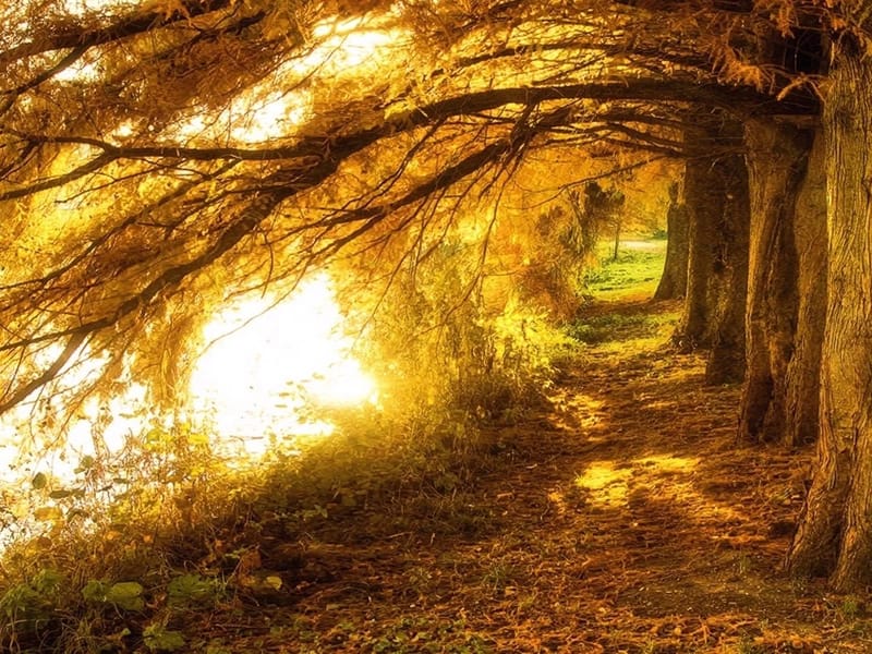 AUTUMN PATHWAYS INC - Home Health Nursing in Baltimore, MD photo 2