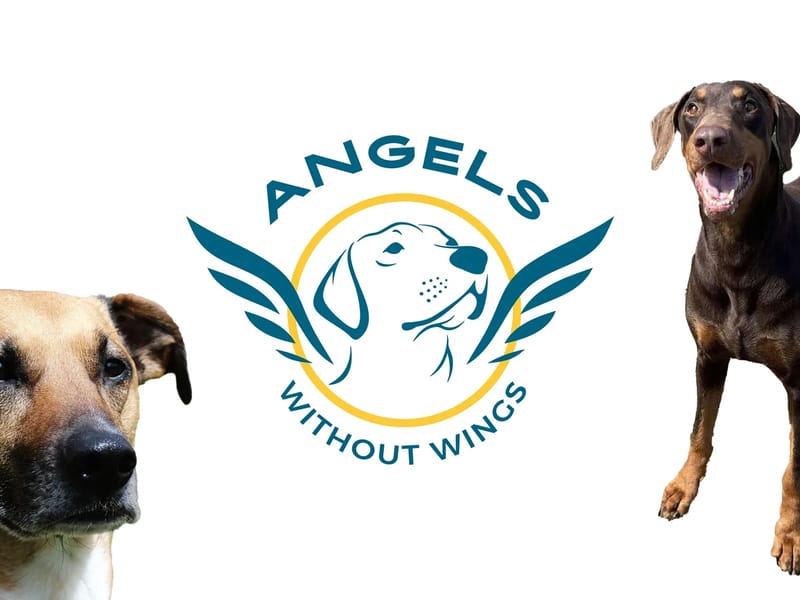 Angels Without Wings Assisted Living, Llc - Assisted Living in Baltimore, MD photo 1