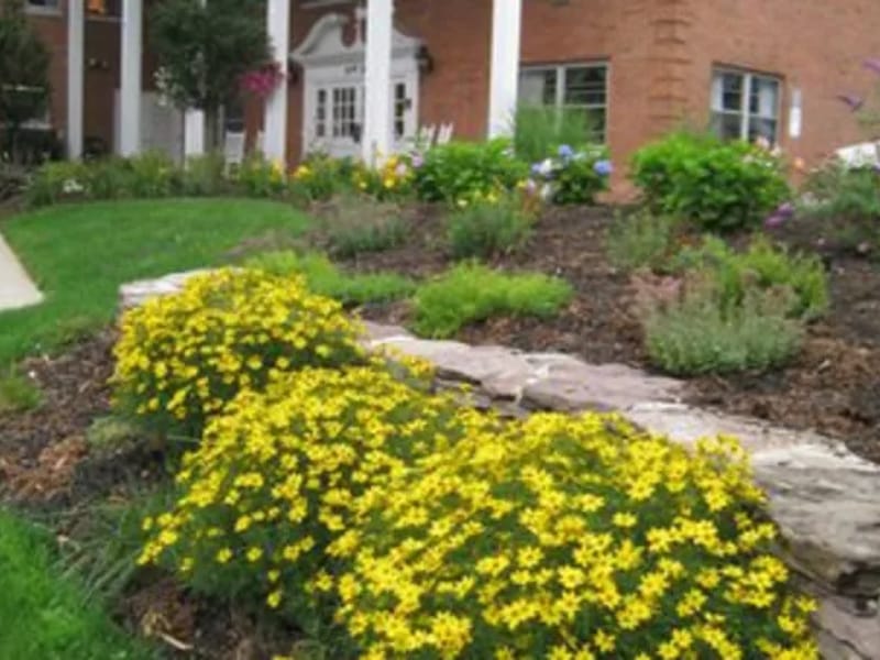 Amare Home Healthcare - Home Health Nursing in Montclair, CA photo 1