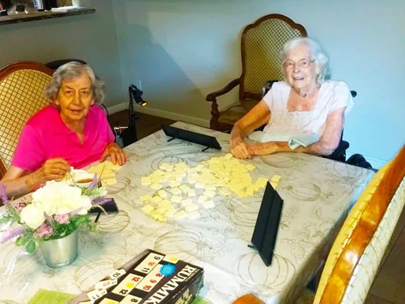 Alexander'S Golden Starr Community Care Home - Assisted Living in Santee, SC photo 2