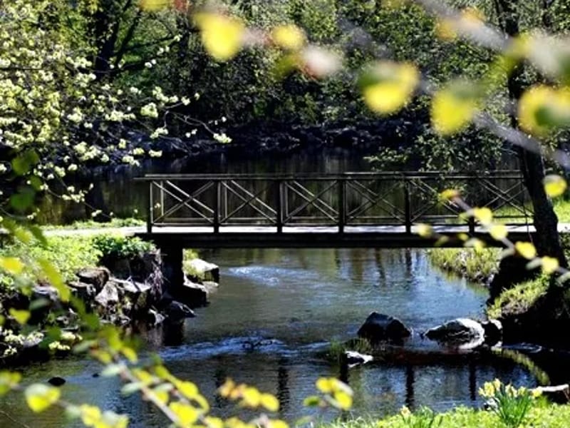 Selggrensgården - Serviceboende in Gävle, Gävleborgs län photo 3