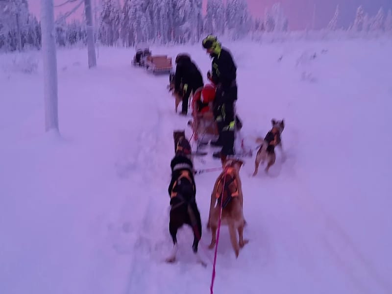 H PAJALA C - Äldreboende in Pajala, Norrbottens län photo 2