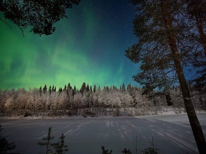 Rautiosaari I - Palveluasuminen in Rovaniemi, Lappi photo 3