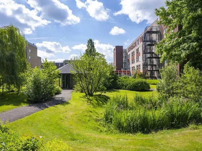 Alliade ouderenzorg Coornhert State - Verpleeghuis in Heerenveen, Friesland photo 2