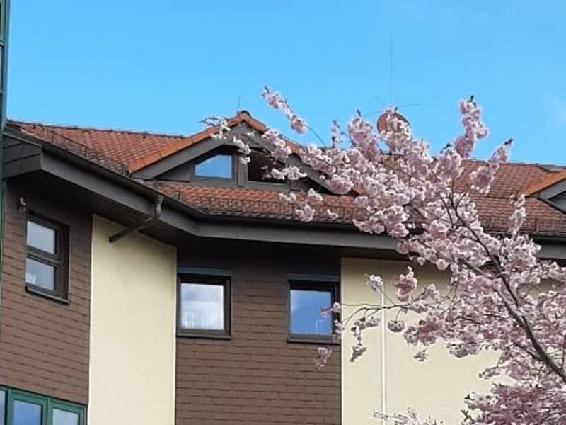 Altenpflegeheim "Am Schlosspark" - Pflegeheim in Netzschkau, Sachsen photo 2