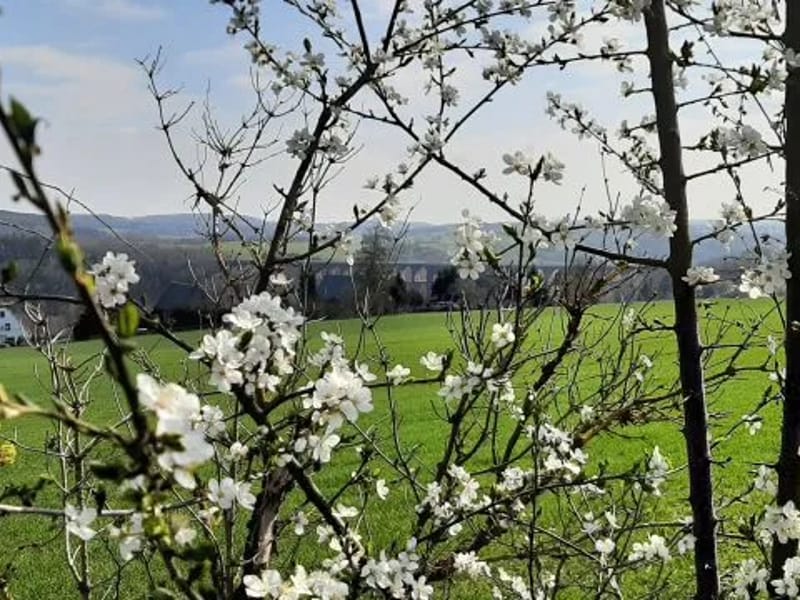 Altenpflegeheim "Am Schlosspark" - Pflegeheim in Netzschkau, Sachsen photo 1