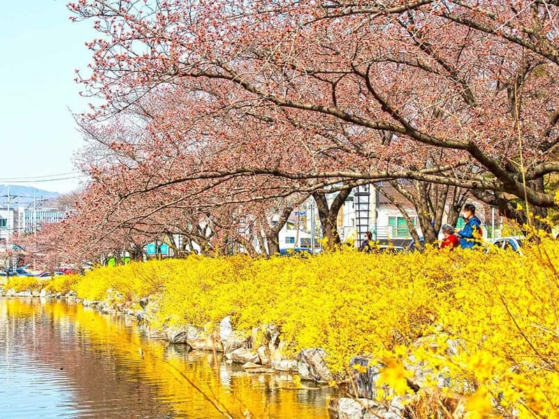 김천실버빌 in 김천시, 경상북도 photo 2