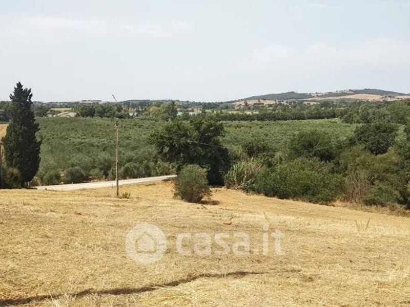 Casa Famiglia - Via Capo D'Istria - Residenza Assistita in Grosseto, Toscana photo 2