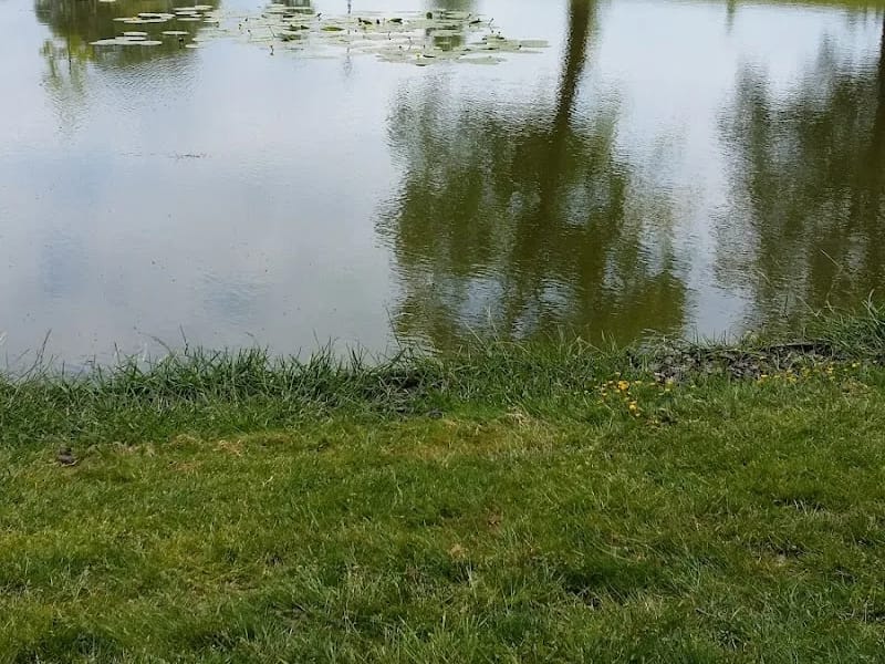 Zzwd - Thuiszorg in Dwingeloo, Overijssel photo 1