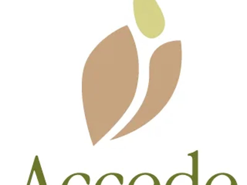 Accede Health LLC - Home Health Nursing in Tampa, FL photo 3