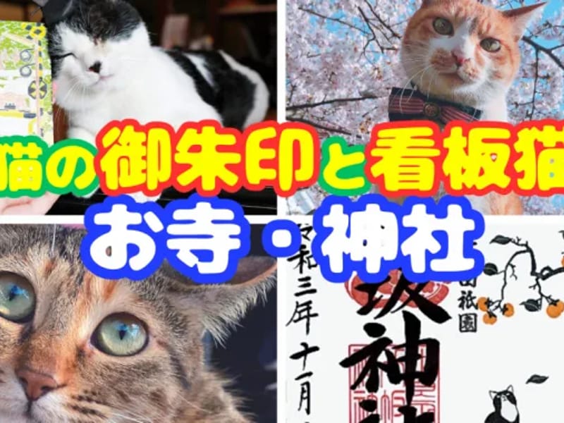 GrandF&M四季采 - 有料老人ホーム in 足利市, 栃木県 photo 1