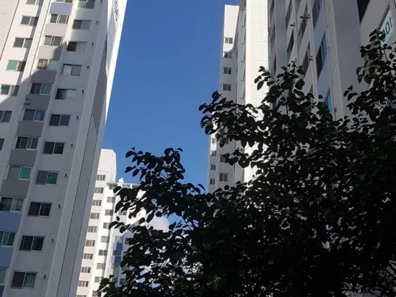 노블효타운 in 오산시, 경기도 photo 3