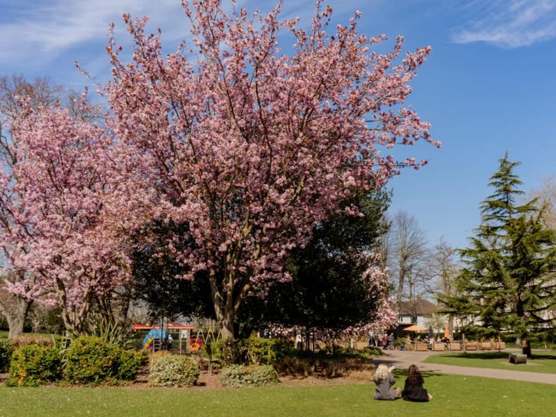ACT Centre - Adult Day Care in Norwich, England photo 1