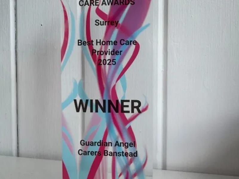 Guardian Angel Carers Banstead and Purley - In-Home Care in Sutton, England photo 1