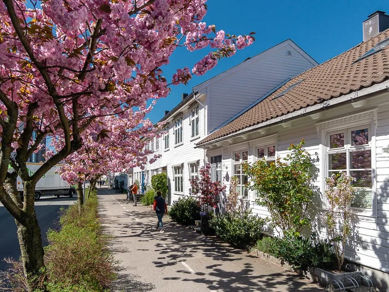 Hjemmetjenesten Posebyen - Hjemmetjenester in Kristiansand, Agder photo 2