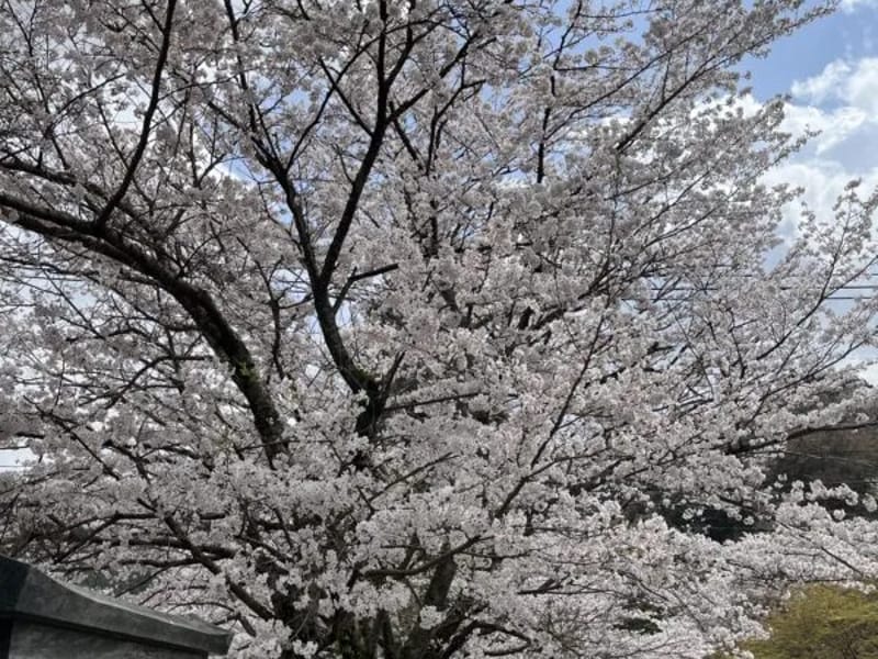 さかいの樹 原 - デイサービス in 福岡市早良区, 福岡県 photo 3