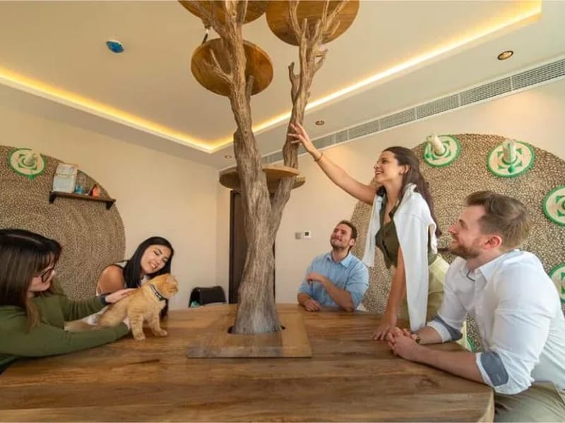 NAS House - In-Home Care in Croydon, England photo 3