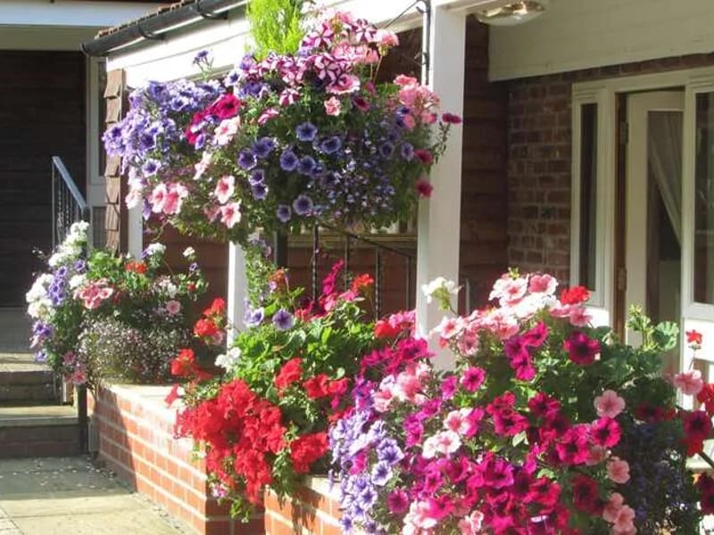 Decoy Farm - Nursing Home in Great Yarmouth, England photo 3