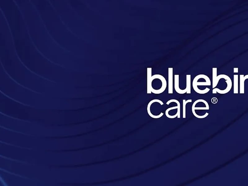 Bluebird Care Clapham and Streatham in London, England photo 6