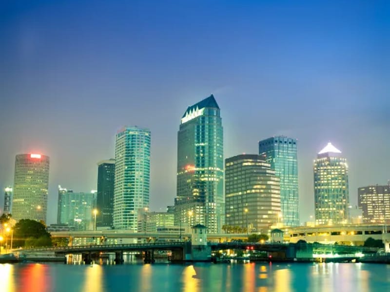 Alternate Horizons LLC - Home Health Nursing in Tampa, FL photo 2