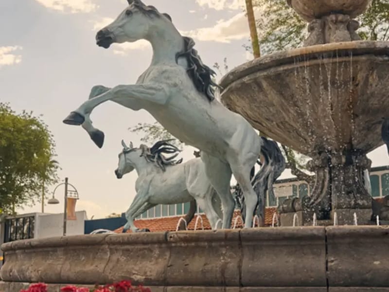 032648-FMC Old Town Scottsdale - Dialysis in Scottsdale, AZ photo 1