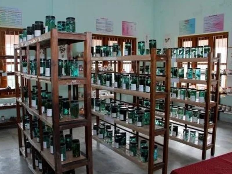 Mannam Ayurveda Co-Operative Medical College Hospital - अस्पताल in Pathanamthitta, Kerala photo 2