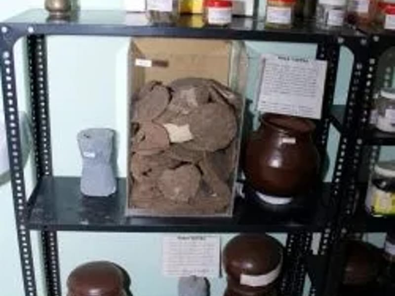 Mannam Ayurveda Co-Operative Medical College Hospital - अस्पताल in Pathanamthitta, Kerala photo 3