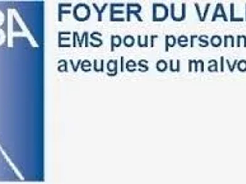Foyer du Vallon - EMS pour personnes âgées aveugles ou malvoyantes - Pflegeheim in Chêne-Bougeries, Geneva photo 2