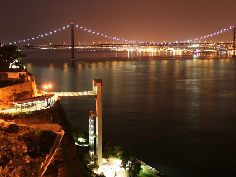 Tejo D'Oiro - Cuidado Domiciliar in Almada, Setúbal photo 1
