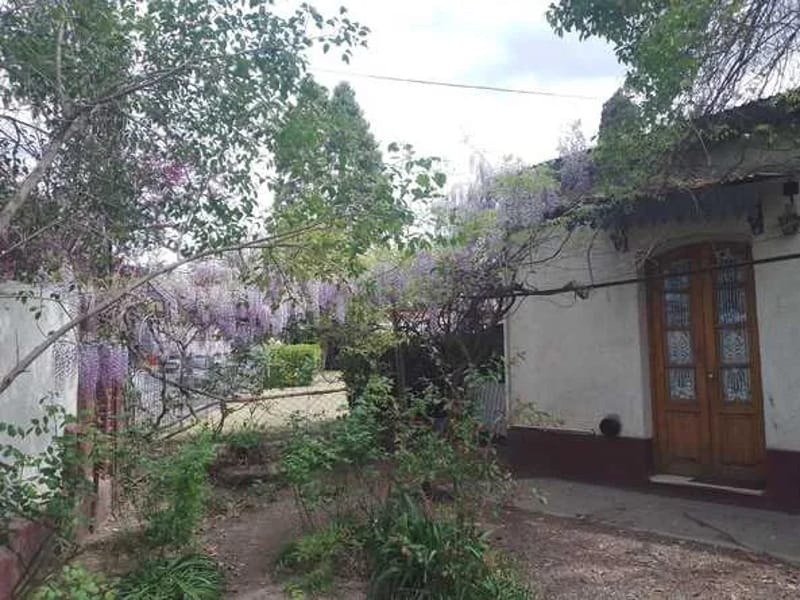 Hogar Mis Nonos - Lujan De Cuyo.- - Hogar de Ancianos in CHACRAS DE CORIA, MENDOZA photo 2