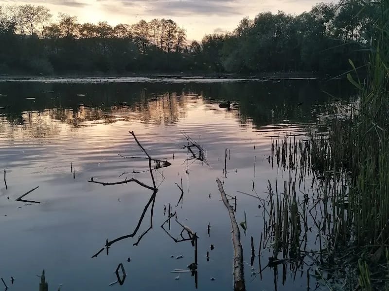 Województwo Wielkopolskie - Dom pomocy społecznej in Konin, Konin photo 6