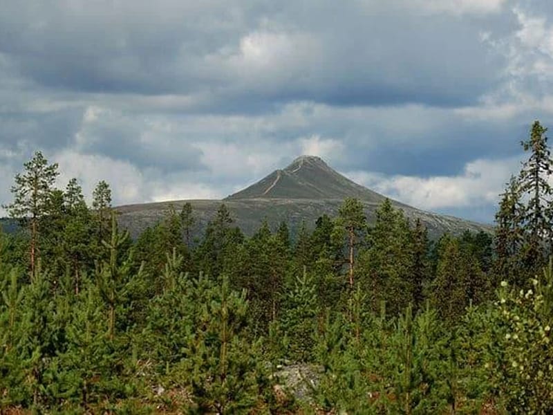 Dalsätra - Äldreboende in Berg, Jämtlands län photo 3