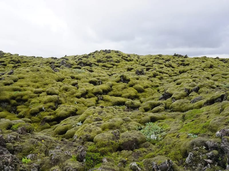 Dalsätra - Äldreboende in Berg, Jämtlands län photo 1
