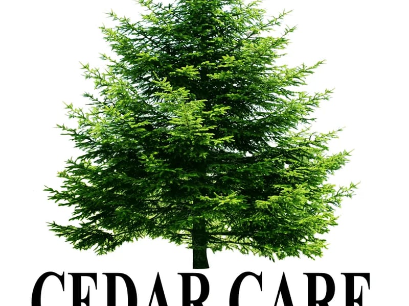 Cedar Care At Home - In-Home Care in Bath, England photo 3