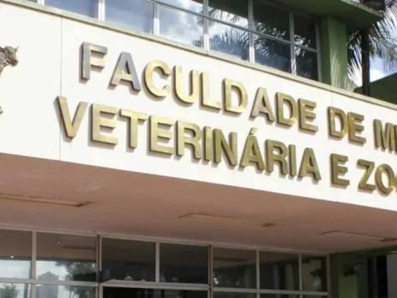 Simetra Medicina E Odontologia - Cuidado Domiciliar in São Paulo, SP photo 2