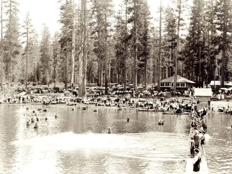 Sunkist Lodge in Worthing, England photo 2