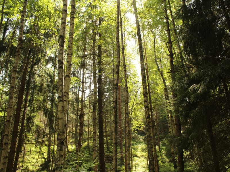 Solbacka demensboende - Äldreboende in Norrtälje, Stockholms län photo 2