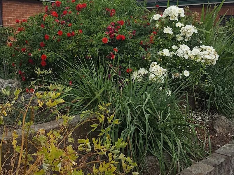 Woking Homes - Assisted Living in Woking, England photo 3
