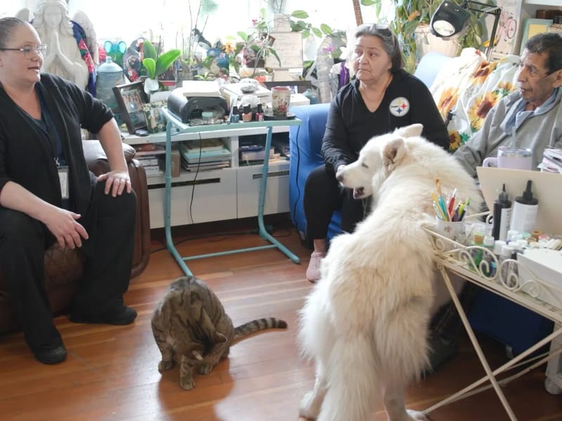 AMERICAN CAREQUEST PALLIATIVE CARE AND HOSPICE FOUNDATION - Home Health Nursing in Burlingame, CA photo 1