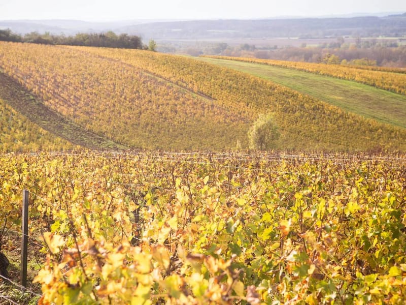 F.L. "Le Coteau Des Vignes" - Maison de Retraite in POUILLY SUR LOIRE, Bourgogne-Franche-Comté photo 3