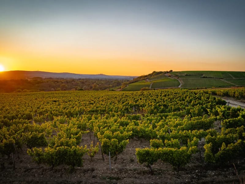 F.L. "Le Coteau Des Vignes" - Maison de Retraite in POUILLY SUR LOIRE, Bourgogne-Franche-Comté photo 2