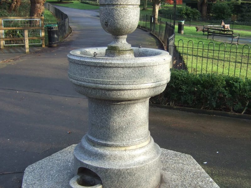 Fountain Based Ltd - In-Home Care in Dagenham, England photo 3