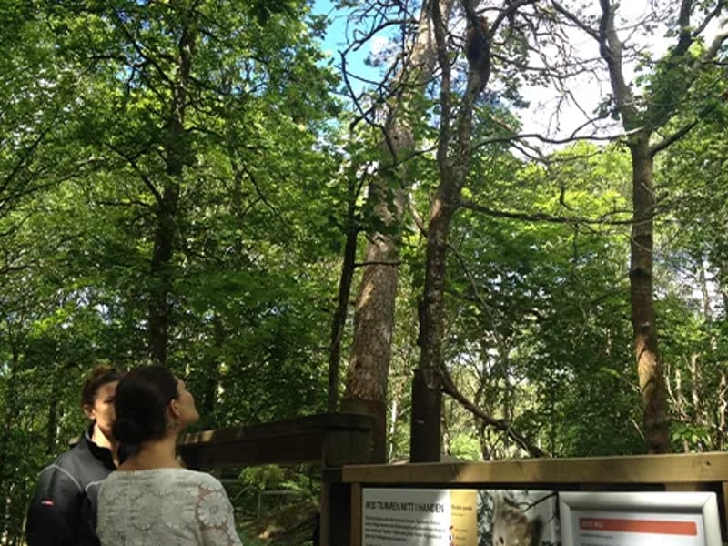 Nord-Öst - Äldreboende in Åmål, Västra Götalands län photo 2
