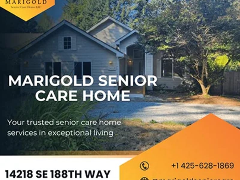 Marigold Home Care Ltd - In-Home Care in Hayes, England photo 3