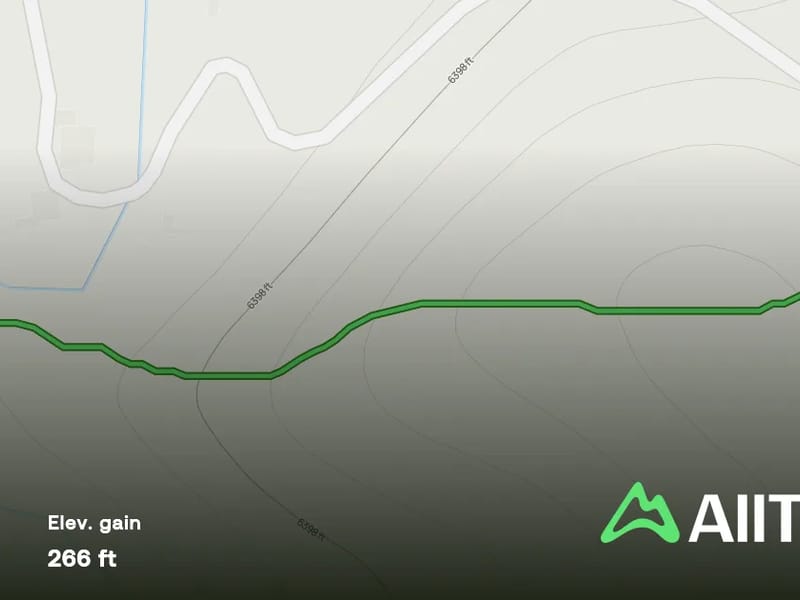 CENTRO GERONTOLOGICO LAS TERESAS - Hogar de Ancianos in Guanajuato, Guanajuato photo 1