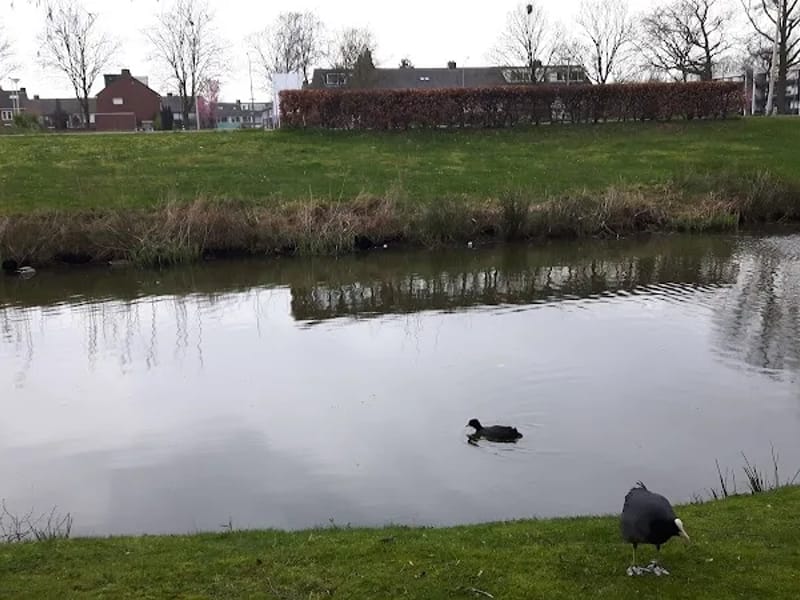 De Honinghoeve - Begeleid Wonen in Nijmegen, Gelderland photo 4
