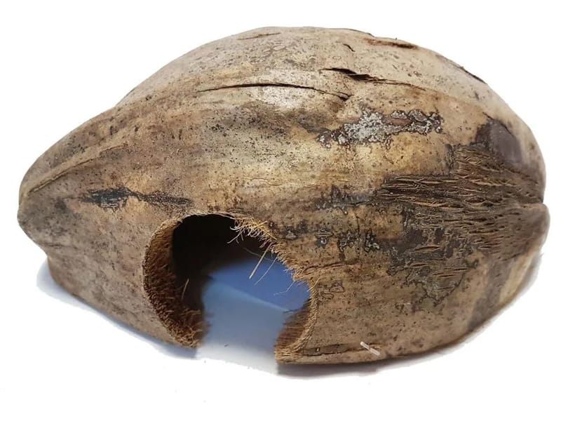 CASA HOGAR EL HOGAR DE COCO - Hogar de Ancianos in NEUQUEN, NEUQUÉN photo 1